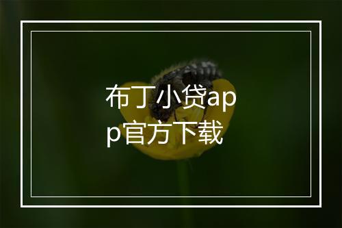 布丁小贷app官方下载