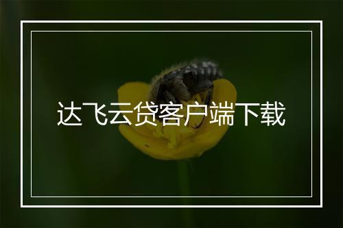 达飞云贷客户端下载