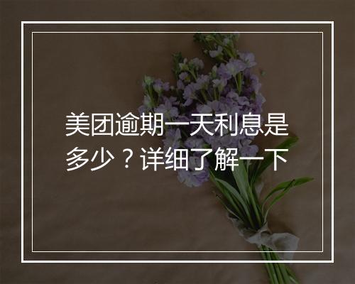 美团逾期一天利息是多少？详细了解一下