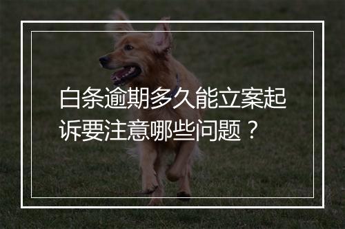 白条逾期多久能立案起诉要注意哪些问题？