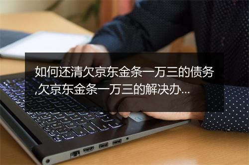 如何还清欠京东金条一万三的债务,欠京东金条一万三的解决办法