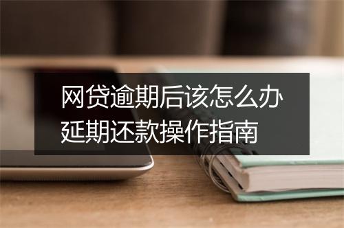 网贷逾期后该怎么办延期还款操作指南