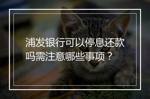 浦发银行可以停息还款吗需注意哪些事项？