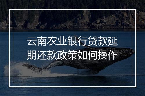云南农业银行贷款延期还款政策如何操作
