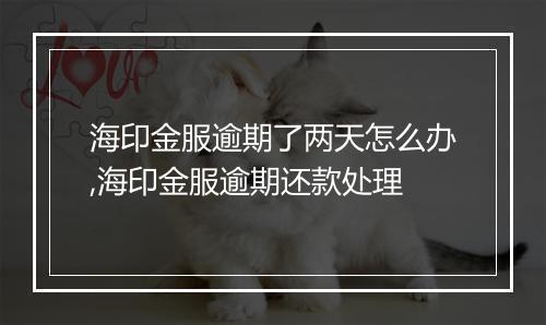海印金服逾期了两天怎么办,海印金服逾期还款处理
