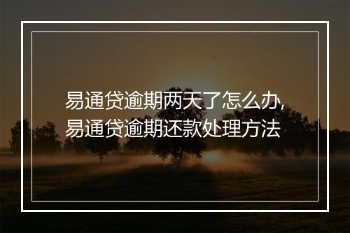 易通贷逾期两天了怎么办,易通贷逾期还款处理方法