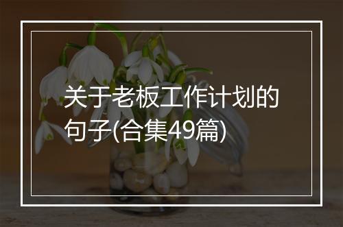 关于老板工作计划的句子(合集49篇)