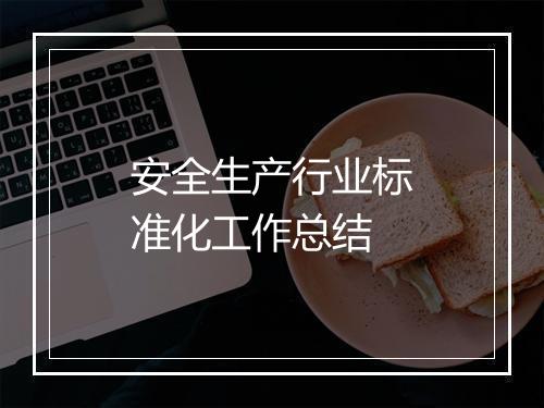安全生产行业标准化工作总结