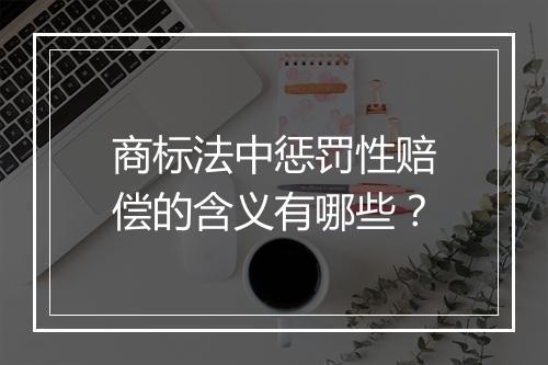 商标法中惩罚性赔偿的含义有哪些？