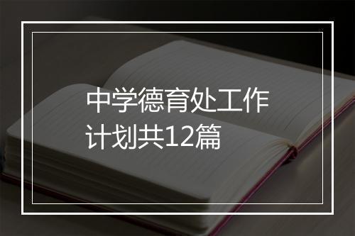 中学德育处工作计划共12篇