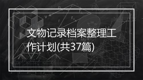 文物记录档案整理工作计划(共37篇)