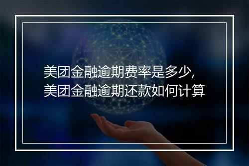 美团金融逾期费率是多少,美团金融逾期还款如何计算