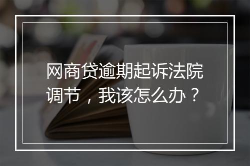 网商贷逾期起诉法院调节，我该怎么办？