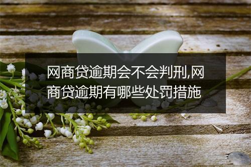 网商贷逾期会不会判刑,网商贷逾期有哪些处罚措施