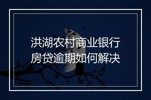 洪湖农村商业银行房贷逾期如何解决