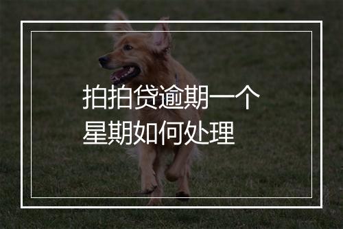 拍拍贷逾期一个星期如何处理