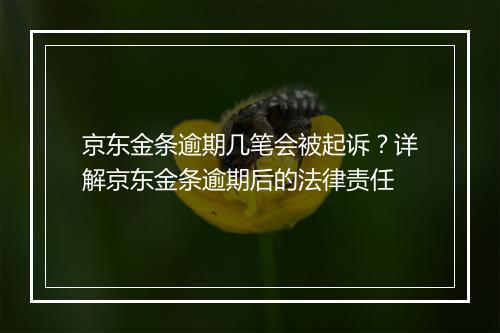 京东金条逾期几笔会被起诉？详解京东金条逾期后的法律责任