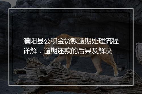 濮阳县公积金贷款逾期处理流程详解，逾期还款的后果及解决