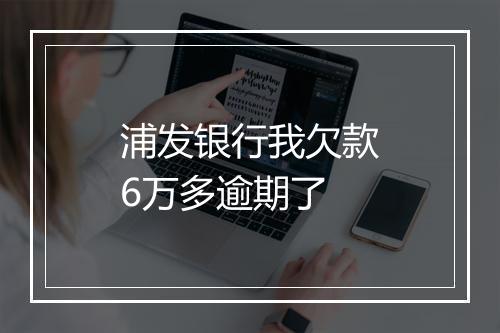 浦发银行我欠款6万多逾期了