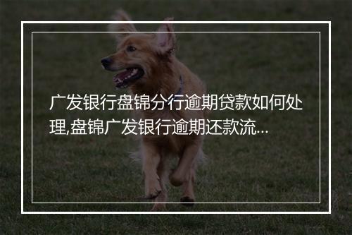 广发银行盘锦分行逾期贷款如何处理,盘锦广发银行逾期还款流程