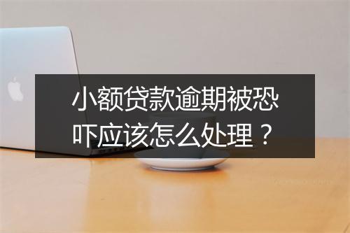 小额贷款逾期被恐吓应该怎么处理？