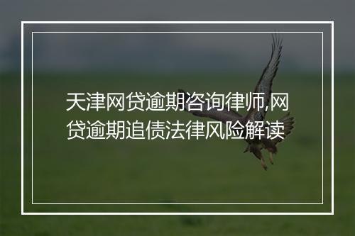 天津网贷逾期咨询律师,网贷逾期追债法律风险解读