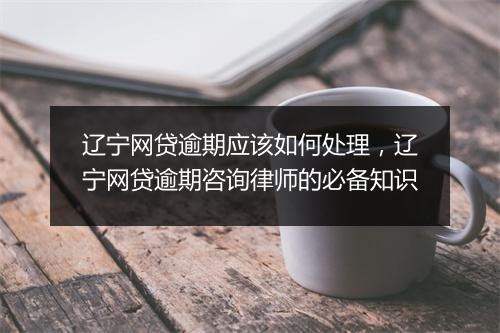辽宁网贷逾期应该如何处理，辽宁网贷逾期咨询律师的必备知识