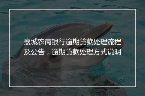襄城农商银行逾期贷款处理流程及公告，逾期贷款处理方式说明