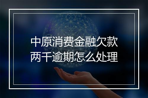 中原消费金融欠款两千逾期怎么处理