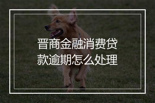 晋商金融消费贷款逾期怎么处理