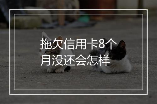 拖欠信用卡8个月没还会怎样