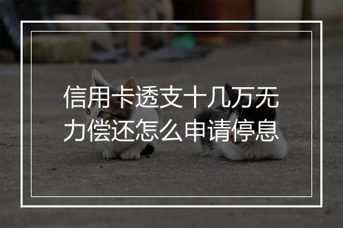 信用卡透支十几万无力偿还怎么申请停息