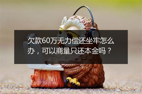 欠款60万无力偿还坐牢怎么办，可以商量只还本金吗？