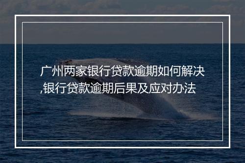 广州两家银行贷款逾期如何解决,银行贷款逾期后果及应对办法