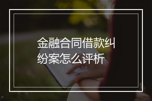 金融合同借款纠纷案怎么评析