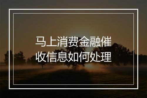 马上消费金融催收信息如何处理