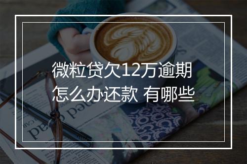 微粒贷欠12万逾期怎么办还款 有哪些
