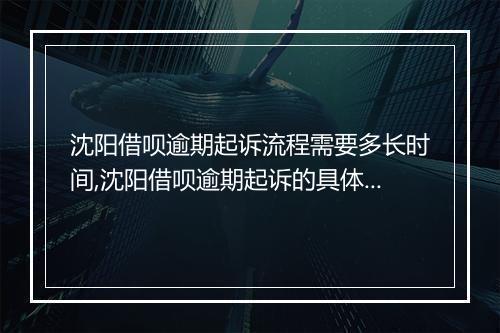 沈阳借呗逾期起诉流程需要多长时间,沈阳借呗逾期起诉的具体步骤