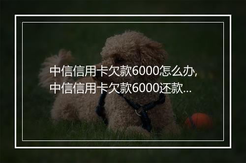 中信信用卡欠款6000怎么办,中信信用卡欠款6000还款方式