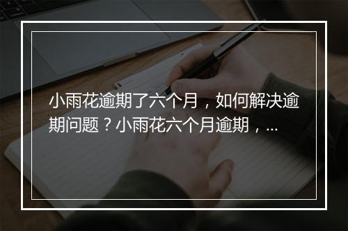 小雨花逾期了六个月，如何解决逾期问题？小雨花六个月逾期，应该怎么办？