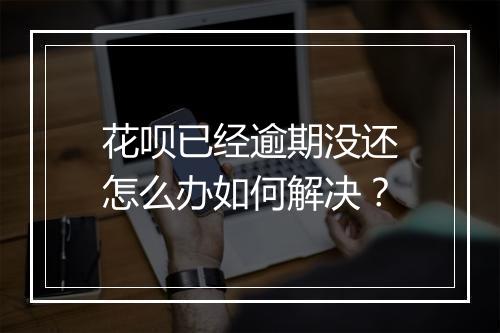 花呗已经逾期没还怎么办如何解决？