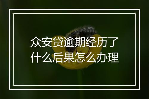 众安贷逾期经历了什么后果怎么办理