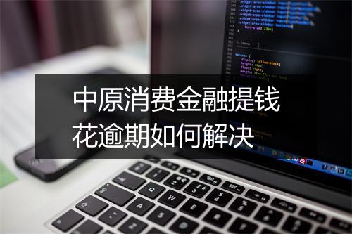 中原消费金融提钱花逾期如何解决