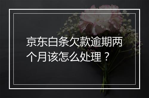 京东白条欠款逾期两个月该怎么处理？