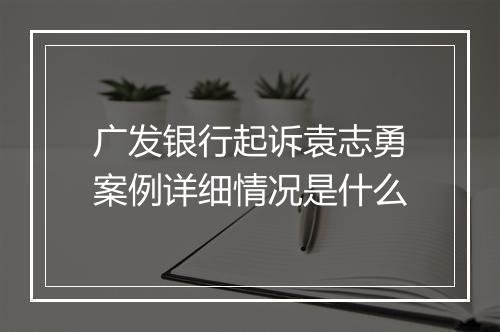 广发银行起诉袁志勇案例详细情况是什么