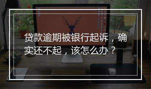 贷款逾期被银行起诉，确实还不起，该怎么办？