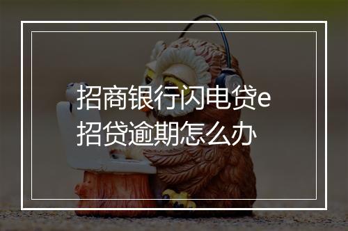 招商银行闪电贷e招贷逾期怎么办