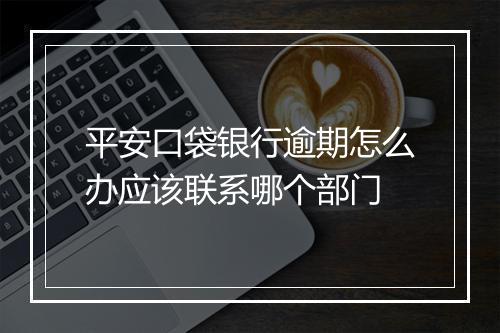 平安口袋银行逾期怎么办应该联系哪个部门