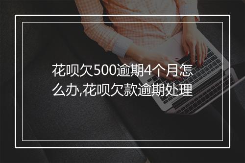 花呗欠500逾期4个月怎么办,花呗欠款逾期处理