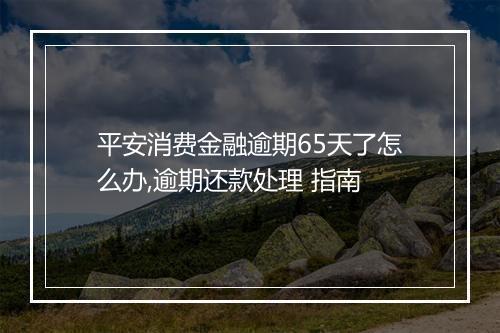 平安消费金融逾期65天了怎么办,逾期还款处理 指南